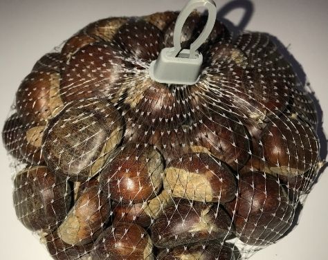kestane filesi
